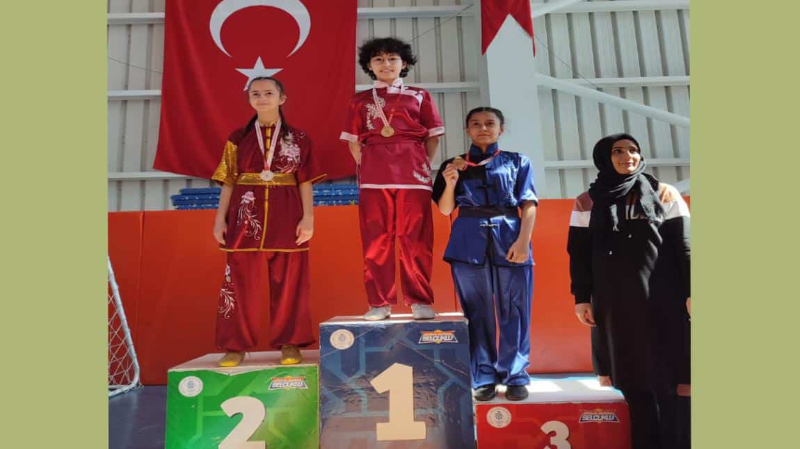 Wushu Tao il Birinciliği