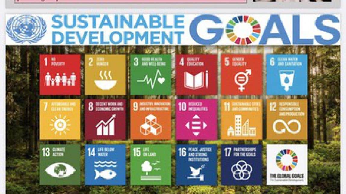 Youth In Actıon For Sdgs